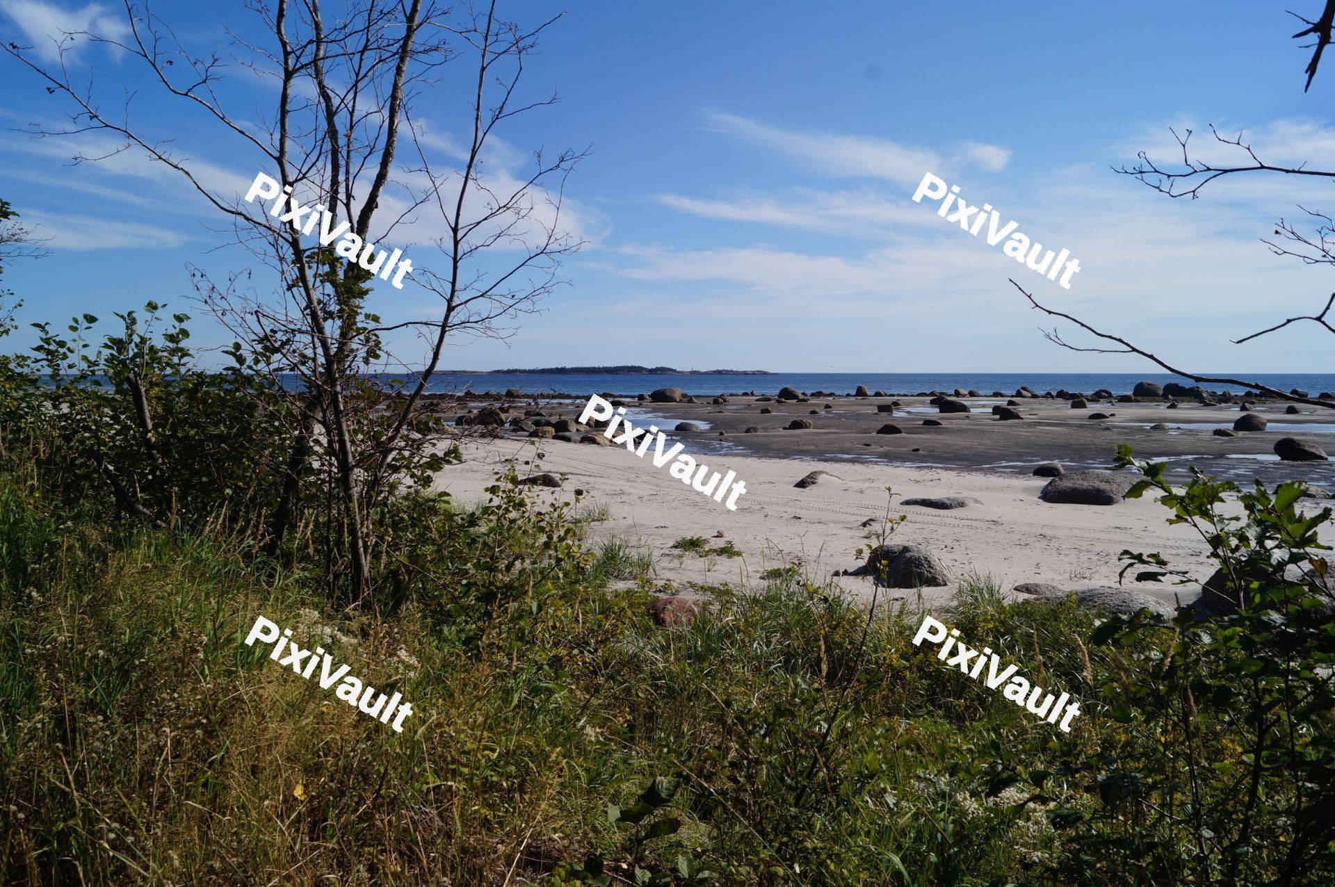 Beach And Town